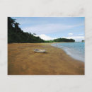 Search for panama postcards Nature