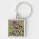 Search for burrowing owl keychains Cape coral