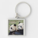 Recherche de panda de accessoires Amitié