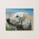Recherche de labradoodle puzzles Mignon