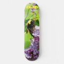 Recherche de adolescent skateboards Teen boy