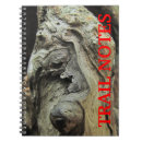 Search for cypress tree Hiking