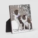 Recherche de pet supplies Garder