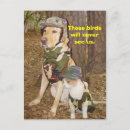 Recherche de camouflé cartes postales Chasse