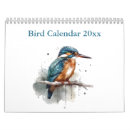 Search for robin bird calendars Sparrow