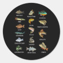 Search for rainbow trout stickers Stream