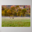 Search for cow elk posters Wildlife