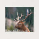 Search for john wilde art Wildlife