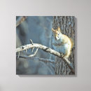 Search for wildlife canvas prints Photography