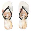 Search for chihuahua shoes Puppy