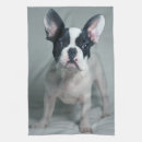 Search for french bulldog tea towels Canine