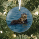 Search for aquatic ornaments sea otter