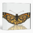 Search for monarch binders Nature