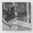 Recherche de de chat siamois art Animaux
