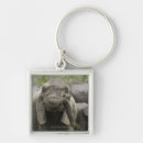 Search for elephant trunks keychains Animal