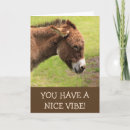 Search for donkey cards Burro