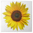 Search for provencal tiles Flowers