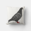 Recherche de pigeons coussins Nature