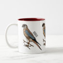 Search for american kestrel mugs Bird