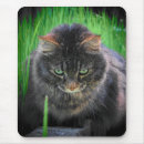 Search for blading mousepads Lawn