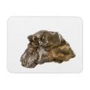 Recherche de forme physique magnets Personne