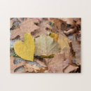 Search for fall color Leaf