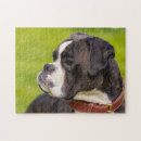 Search for boxer puzzles Canine