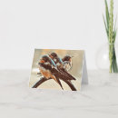 Search for swallow cards Cute