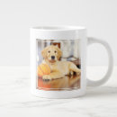 Search for novelty basketball mugs Cute