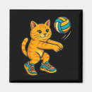 Recherche de ventilateur magnets Volley ball