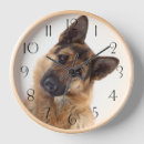 Recherche de german shepherd dog Animals