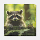 Search for peek a magnets Raccoon