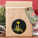 Search for dandelion stickers Botanical