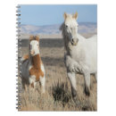 Search for horse notebooks Mare