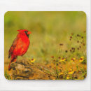 Recherche de cathy tapis souris Oiseau