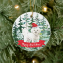 Recherche de bichon frise ornaments Chiot
