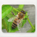 Search for bumble bee mousepads Insects