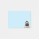 Recherche de attaque de requin Grand requin blanc