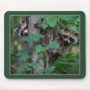 Recherche de racoon tapis souris Bébé
