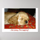 Recherche de chien endormi posters Animal