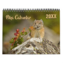 Search for mice calendars Animal