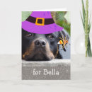 Search for rottweilers cards Cute