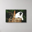 Search for dog bite art Puppy