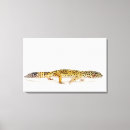 Search for lizards canvas prints Animals