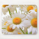 Search for spring photos electronics Flowers