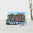 Search for pohutukawa postcards Kiwi