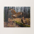 Search for hawk puzzles Animals