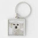 Search for winking keychains Animal