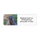 Search for funny return address labels Wildlife
