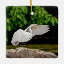 Search for egret ornaments Animal